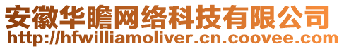 安徽華瞻網(wǎng)絡(luò)科技有限公司