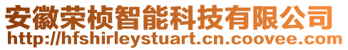 安徽榮楨智能科技有限公司
