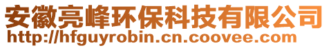 安徽亮峰環保科技有限公司
