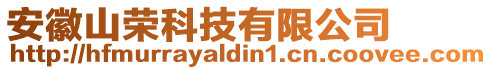 安徽山榮科技有限公司