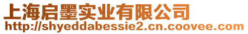 上海啟墨實業有限公司