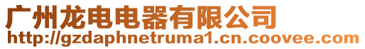 廣州龍電電器有限公司