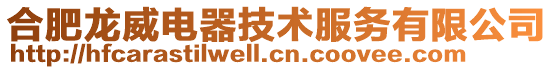 合肥龍威電器技術服務有限公司
