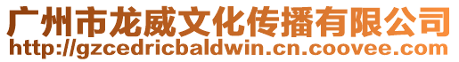 廣州市龍威文化傳播有限公司