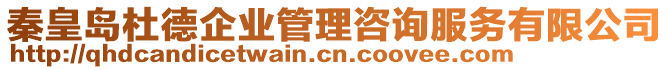 秦皇島杜德企業管理咨詢服務有限公司