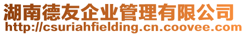 湖南德友企業(yè)管理有限公司
