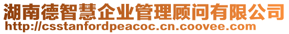 湖南德智慧企业管理顾问有限公司