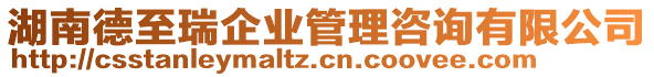 湖南德至瑞企業管理咨詢有限公司