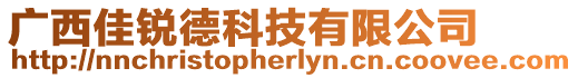 廣西佳銳德科技有限公司
