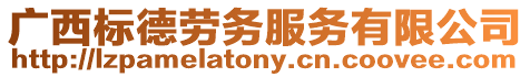廣西標德勞務(wù)服務(wù)有限公司