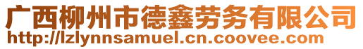 廣西柳州市德鑫勞務(wù)有限公司