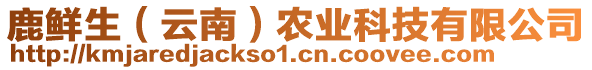 鹿鮮生（云南）農(nóng)業(yè)科技有限公司