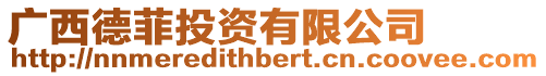 廣西德菲投資有限公司