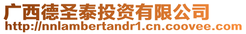 廣西德圣泰投資有限公司
