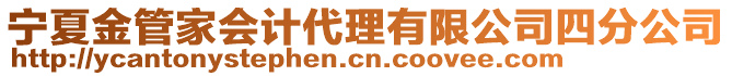 寧夏金管家會計代理有限公司四分公司