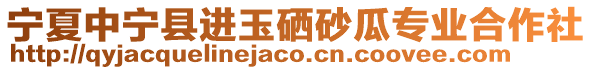 寧夏中寧縣進玉硒砂瓜專業合作社