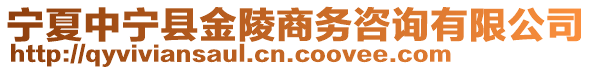 寧夏中寧縣金陵商務(wù)咨詢有限公司