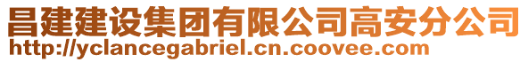 昌建建設集團有限公司高安分公司