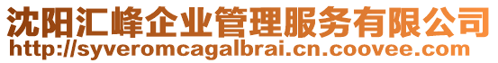 沈陽匯峰企業管理服務有限公司