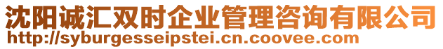 沈陽誠匯雙時企業管理咨詢有限公司