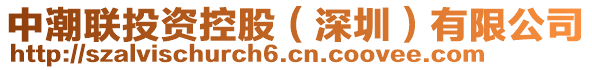 中潮聯(lián)投資控股（深圳）有限公司