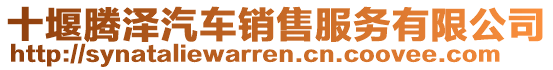 十堰腾泽汽车销售服务有限公司