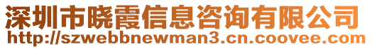 深圳市晓霞信息咨询有限公司