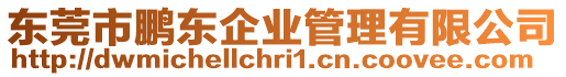 東莞市鵬東企業(yè)管理有限公司
