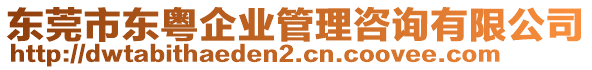 東莞市東粵企業(yè)管理咨詢有限公司