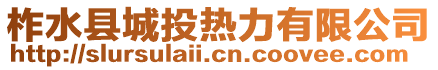 柞水縣城投熱力有限公司