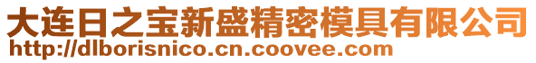 大連日之寶新盛精密模具有限公司