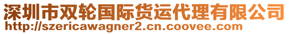 深圳市雙輪國際貨運(yùn)代理有限公司