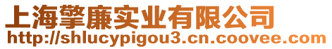 上海擎廉實業(yè)有限公司