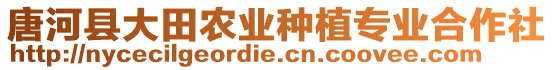 唐河縣大田農(nóng)業(yè)種植專業(yè)合作社