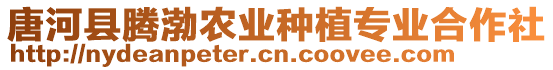 唐河縣騰渤農(nóng)業(yè)種植專業(yè)合作社