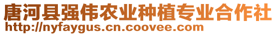 唐河縣強偉農(nóng)業(yè)種植專業(yè)合作社