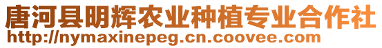 唐河縣明輝農(nóng)業(yè)種植專業(yè)合作社