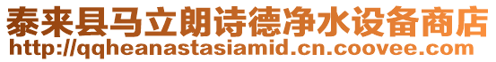 泰來縣馬立朗詩德凈水設(shè)備商店