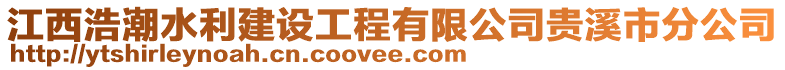 江西浩潮水利建設(shè)工程有限公司貴溪市分公司