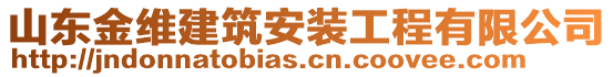 山東金維建筑安裝工程有限公司