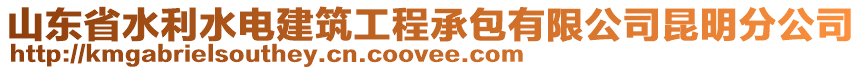 山東省水利水電建筑工程承包有限公司昆明分公司