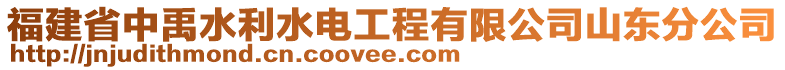 福建省中禹水利水電工程有限公司山東分公司