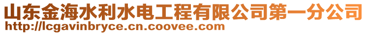 山東金海水利水電工程有限公司第一分公司