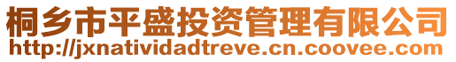桐鄉市平盛投資管理有限公司