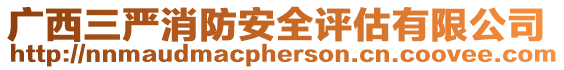 廣西三嚴(yán)消防安全評(píng)估有限公司