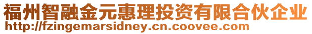 福州智融金元惠理投資有限合伙企業