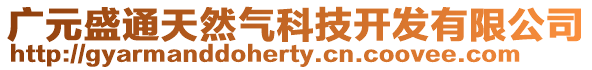 廣元盛通天然氣科技開發有限公司