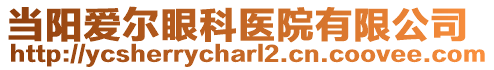 當陽愛爾眼科醫(yī)院有限公司