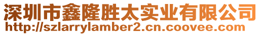 深圳市鑫隆勝太實業有限公司