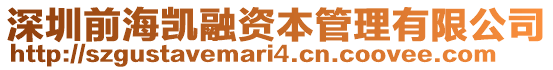 深圳前海凱融資本管理有限公司